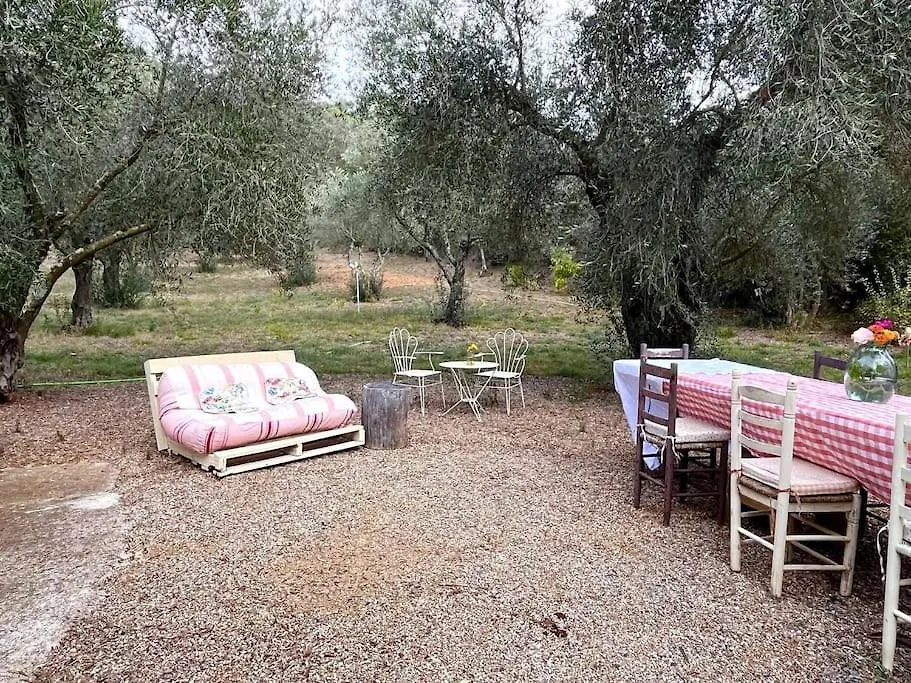 Сasa de vacaciones La Casita De Los Olivos San Miguel de Cruilles